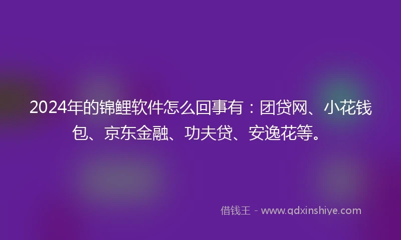 2024年的锦鲤软件怎么回事有：团贷网、小花钱包、京东金融、功夫贷、安逸花等。