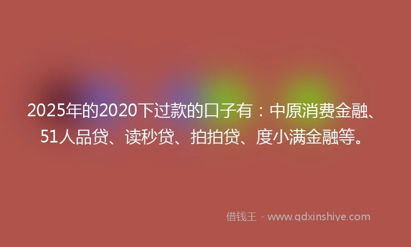 2025年的2020下过款的口子有：中原消费金融、51人品贷、读秒贷、拍拍贷、度小满金融等。