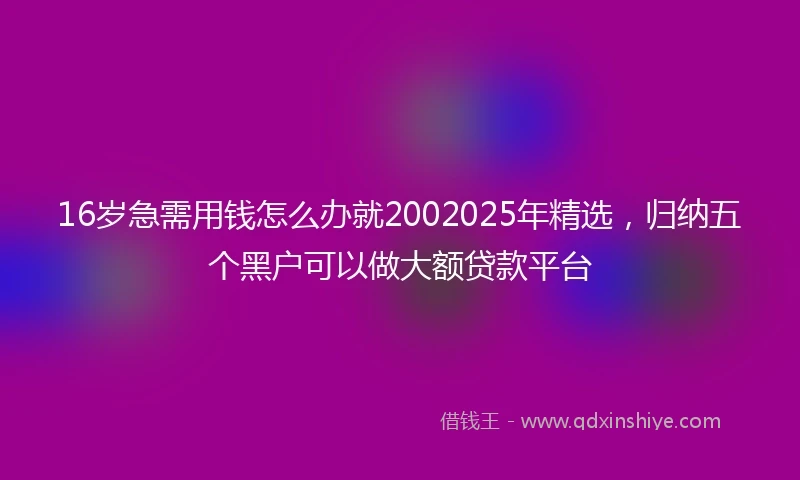 16岁急需用钱怎么办就2002025年精选，归纳五个黑户可以做大额贷款平台