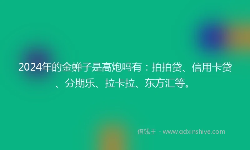 2024年的金蝉子是高炮吗有：拍拍贷、信用卡贷、分期乐、拉卡拉、东方汇等。