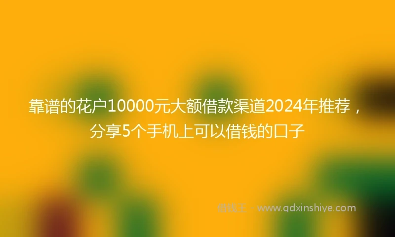 靠谱的花户10000元大额借款渠道2024年推荐，分享5个手机上可以借钱的口子