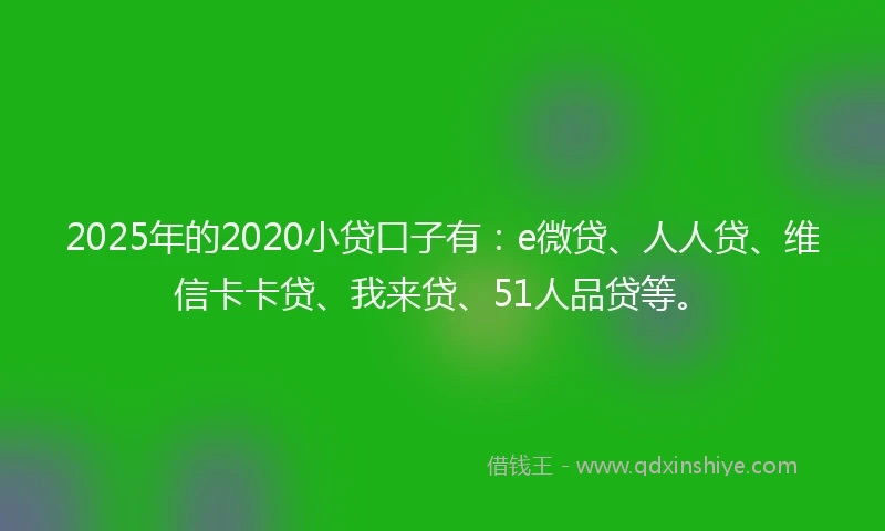2025年的2020小贷口子有：e微贷、人人贷、维信卡卡贷、我来贷、51人品贷等。