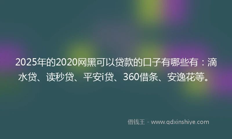 2025年的2020网黑可以贷款的口子有哪些有：滴水贷、读秒贷、平安i贷、360借条、安逸花等。