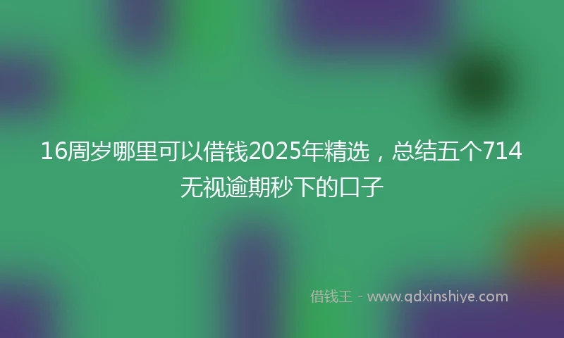 16周岁哪里可以借钱2025年精选，总结五个714无视逾期秒下的口子