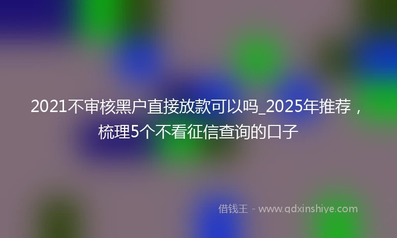 2021不审核黑户直接放款可以吗_2025年推荐，梳理5个不看征信查询的口子