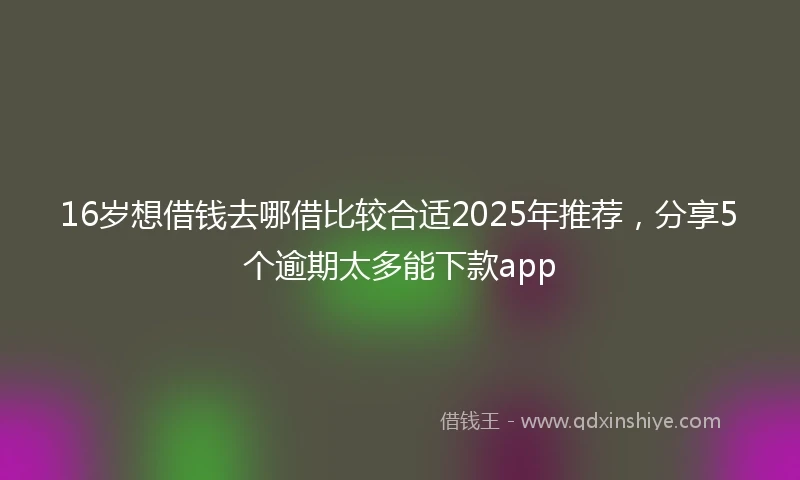 16岁想借钱去哪借比较合适2025年推荐，分享5个逾期太多能下款app