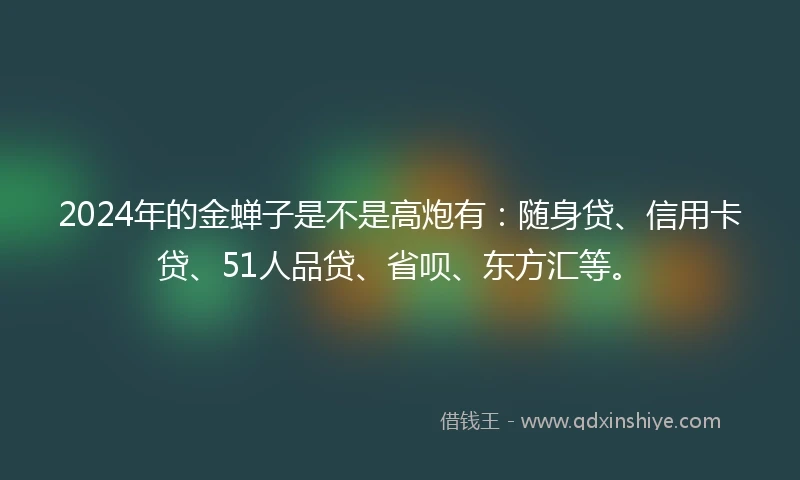2024年的金蝉子是不是高炮有：随身贷、信用卡贷、51人品贷、省呗、东方汇等。