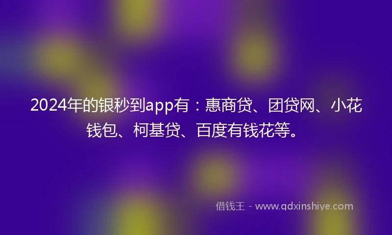 2024年的银秒到app有：惠商贷、团贷网、小花钱包、柯基贷、百度有钱花等。