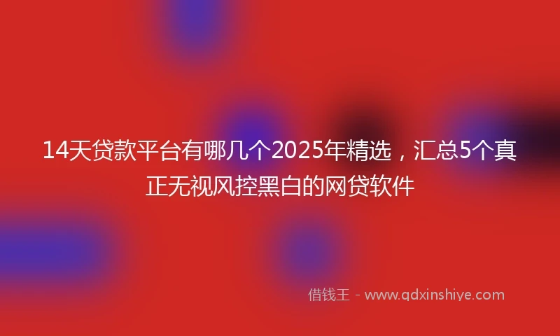 14天贷款平台有哪几个2025年精选，汇总5个真正无视风控黑白的网贷软件