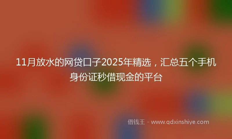 11月放水的网贷口子2025年精选，汇总五个手机身份证秒借现金的平台
