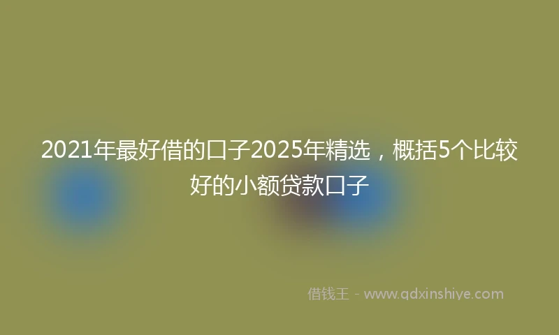 2021年最好借的口子2025年精选，概括5个比较好的小额贷款口子
