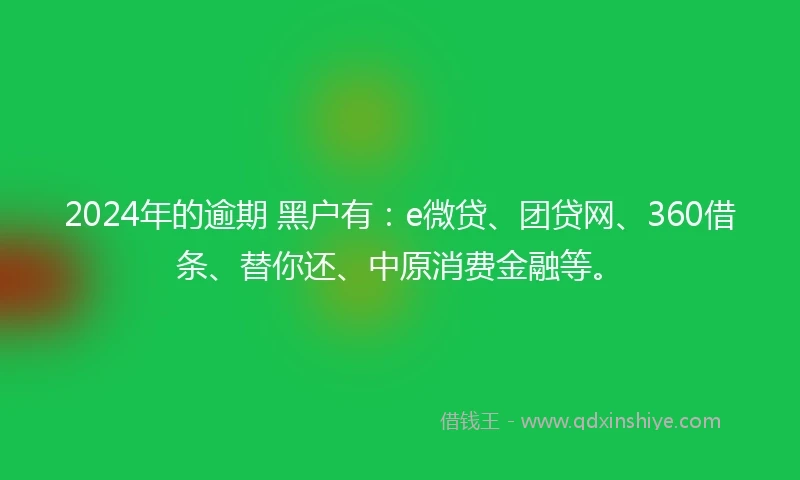 2024年的逾期 黑户有：e微贷、团贷网、360借条、替你还、中原消费金融等。