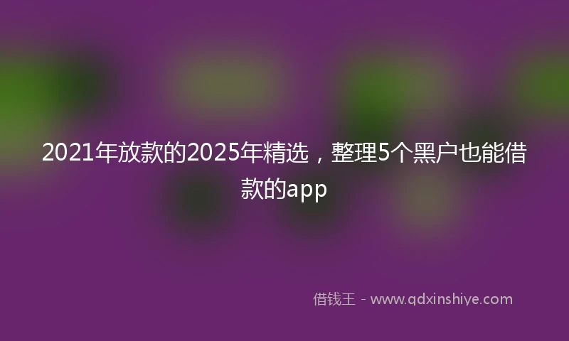 2021年放款的2025年精选，整理5个黑户也能借款的app