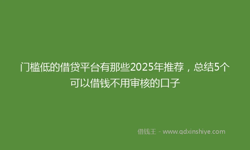 门槛低的借贷平台有那些2025年推荐，总结5个可以借钱不用审核的口子