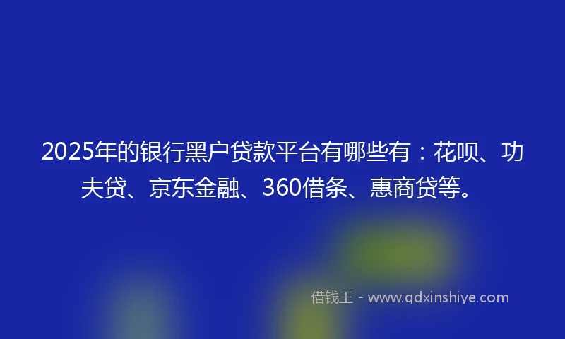 2025年的银行黑户贷款平台有哪些有：花呗、功夫贷、京东金融、360借条、惠商贷等。