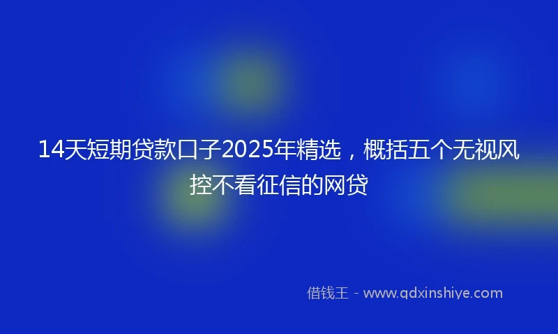 14天短期贷款口子2025年精选，概括五个无视风控不看征信的网贷
