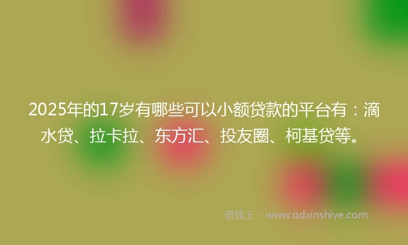 2025年的17岁有哪些可以小额贷款的平台有：滴水贷、拉卡拉、东方汇、投友圈、柯基贷等。