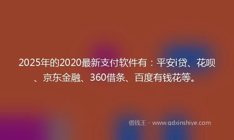 2025年的2020最新支付软件有：平安i贷、花呗、京东金融、360借条、百度有钱花等。