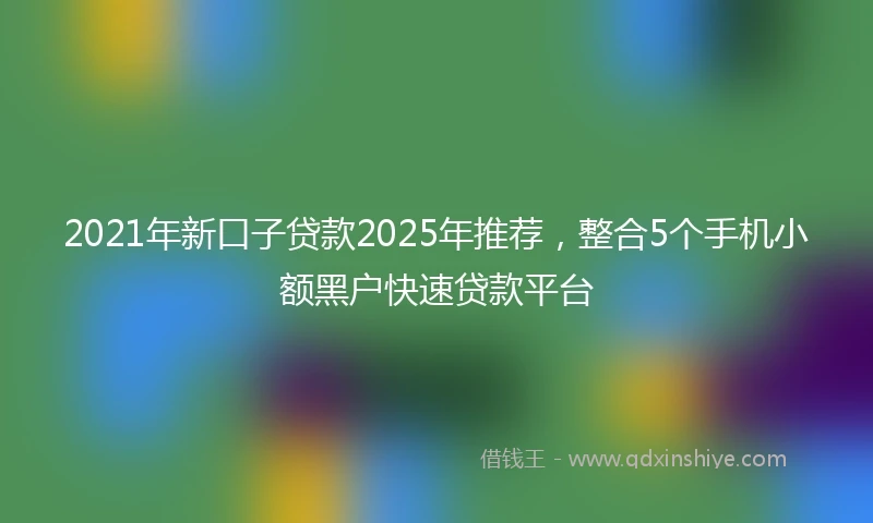 2021年新口子贷款2025年推荐，整合5个手机小额黑户快速贷款平台