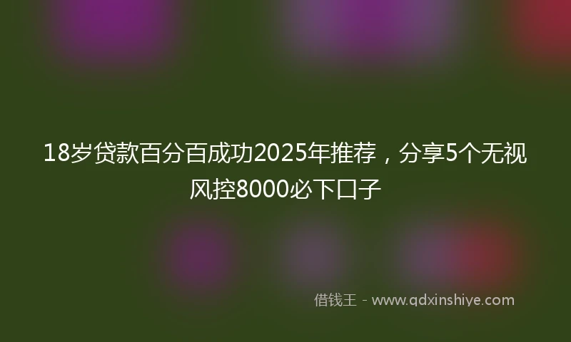 18岁贷款百分百成功2025年推荐，分享5个无视风控8000必下口子