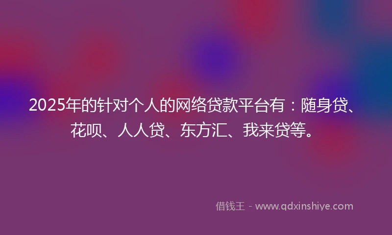 2025年的针对个人的网络贷款平台有：随身贷、花呗、人人贷、东方汇、我来贷等。