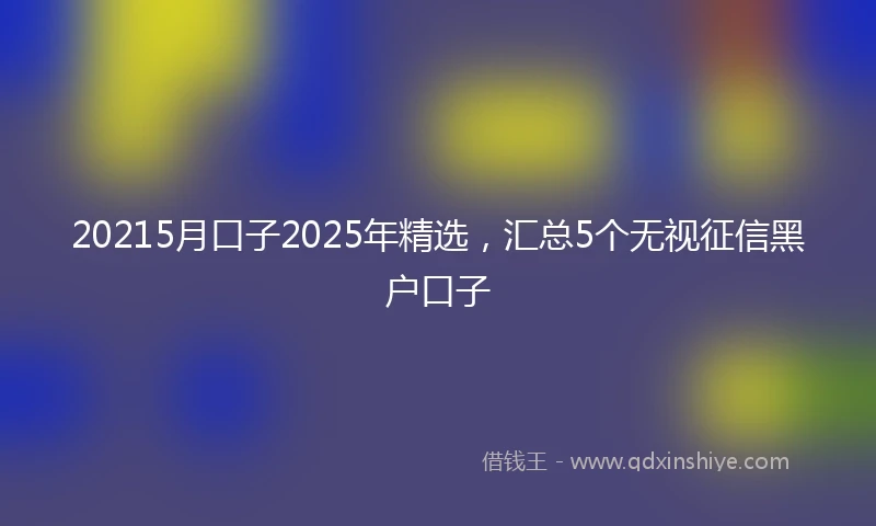 20215月口子2025年精选，汇总5个无视征信黑户口子