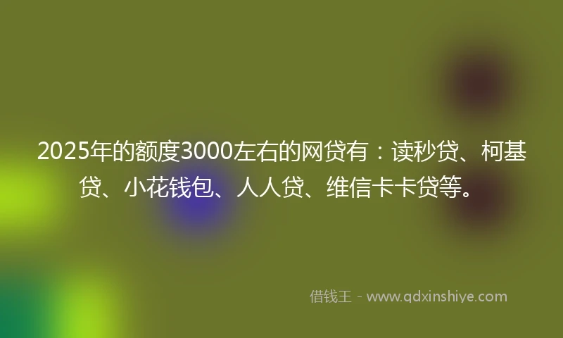 2025年的额度3000左右的网贷有：读秒贷、柯基贷、小花钱包、人人贷、维信卡卡贷等。