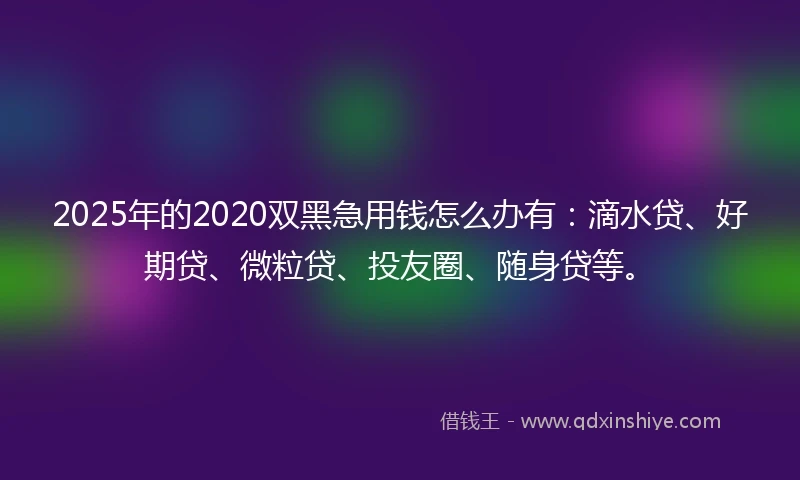 2025年的2020双黑急用钱怎么办有：滴水贷、好期贷、微粒贷、投友圈、随身贷等。