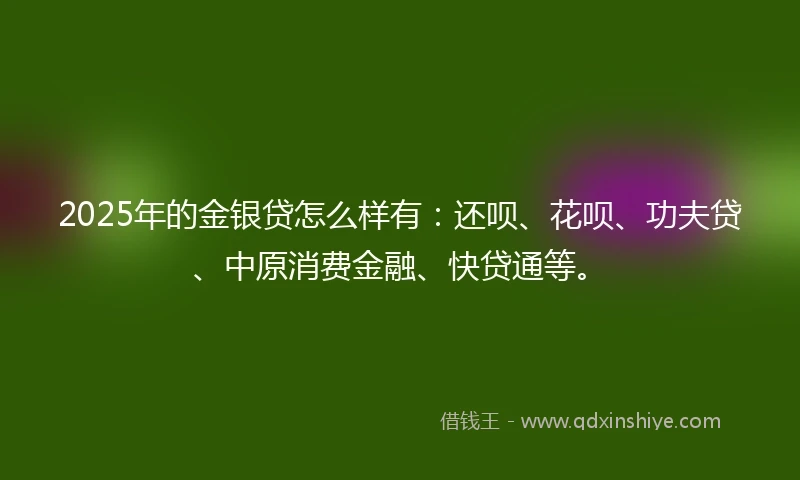 2025年的金银贷怎么样有：还呗、花呗、功夫贷、中原消费金融、快贷通等。