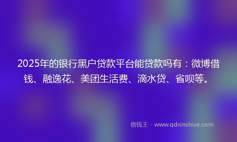 2025年的银行黑户贷款平台能贷款吗有：微博借钱、融逸花、美团生活费、滴水贷、省呗等。