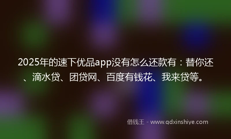 2025年的速下优品app没有怎么还款有：替你还、滴水贷、团贷网、百度有钱花、我来贷等。