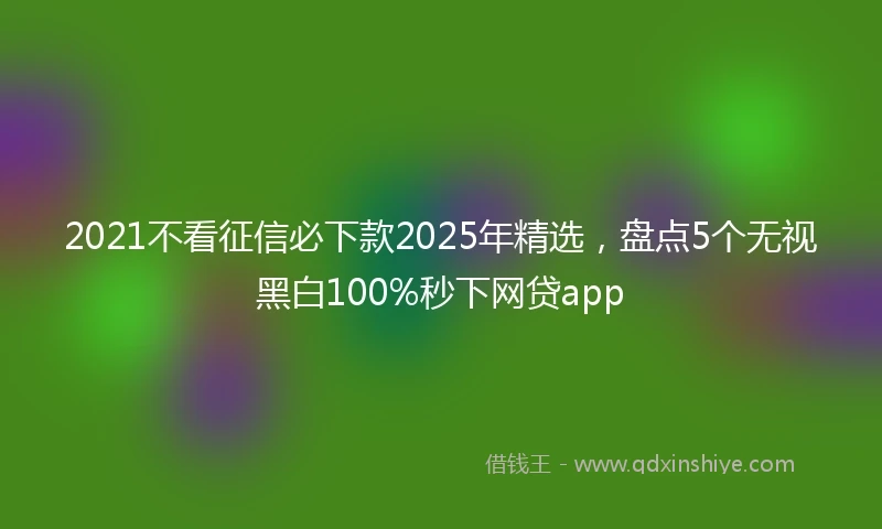 2021不看征信必下款2025年精选，盘点5个无视黑白100%秒下网贷app