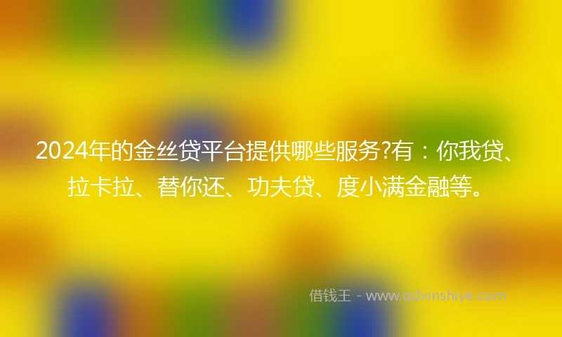 2024年的金丝贷平台提供哪些服务?有：你我贷、拉卡拉、替你还、功夫贷、度小满金融等。