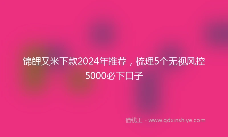 锦鲤又米下款2024年推荐，梳理5个无视风控5000必下口子