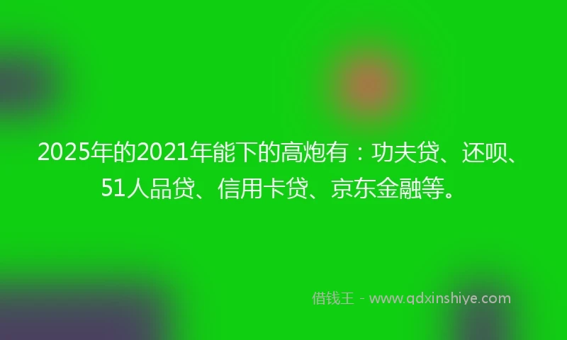 2025年的2021年能下的高炮有：功夫贷、还呗、51人品贷、信用卡贷、京东金融等。