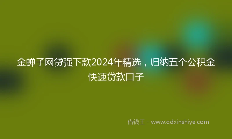 金蝉子网贷强下款2024年精选，归纳五个公积金快速贷款口子