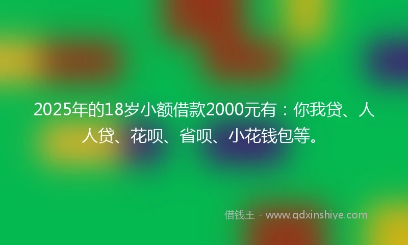 2025年的18岁小额借款2000元有：你我贷、人人贷、花呗、省呗、小花钱包等。