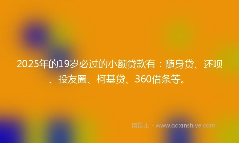 2025年的19岁必过的小额贷款有：随身贷、还呗、投友圈、柯基贷、360借条等。