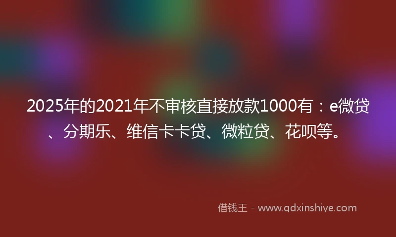 2025年的2021年不审核直接放款1000有：e微贷、分期乐、维信卡卡贷、微粒贷、花呗等。