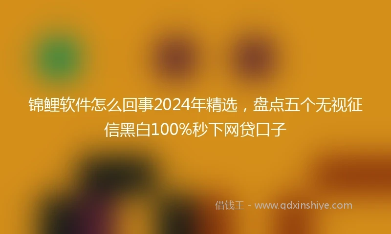锦鲤软件怎么回事2024年精选，盘点五个无视征信黑白100%秒下网贷口子