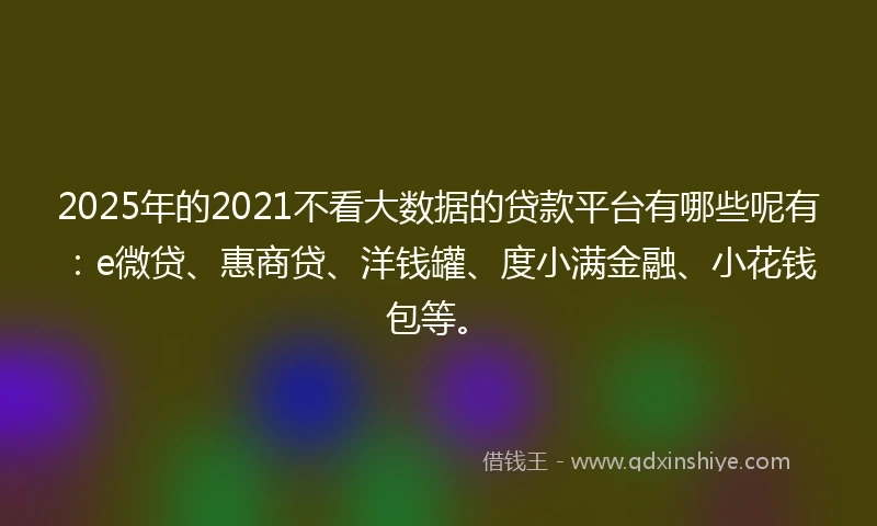 2025年的2021不看大数据的贷款平台有哪些呢有：e微贷、惠商贷、洋钱罐、度小满金融、小花钱包等。