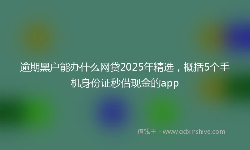 逾期黑户能办什么网贷2025年精选，概括5个手机身份证秒借现金的app