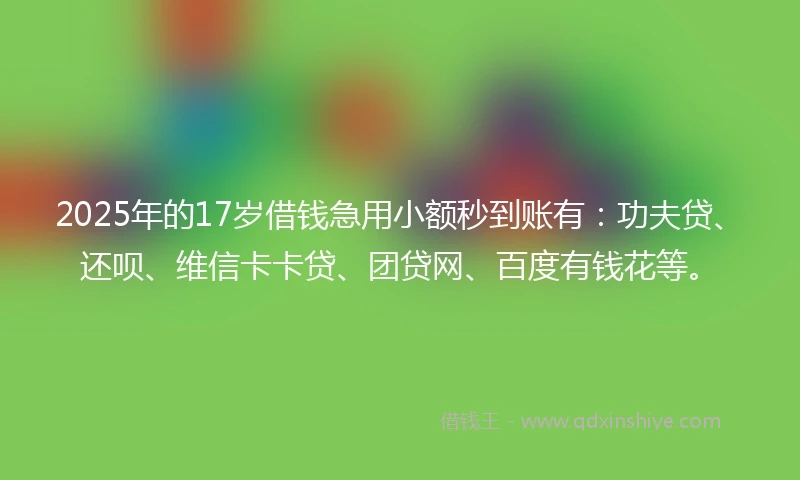 2025年的17岁借钱急用小额秒到账有：功夫贷、还呗、维信卡卡贷、团贷网、百度有钱花等。