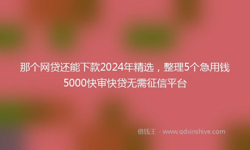 那个网贷还能下款2024年精选，整理5个急用钱5000快审快贷无需征信平台
