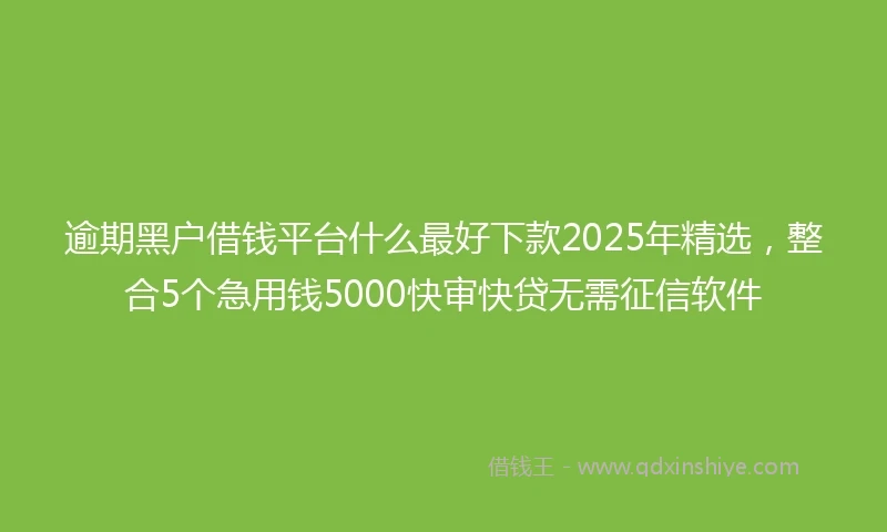逾期黑户借钱平台什么最好下款2025年精选，整合5个急用钱5000快审快贷无需征信软件