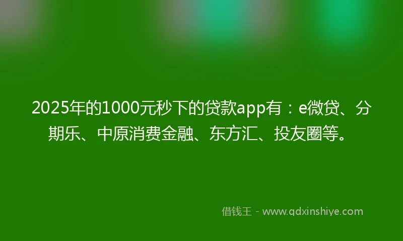 2025年的1000元秒下的贷款app有：e微贷、分期乐、中原消费金融、东方汇、投友圈等。