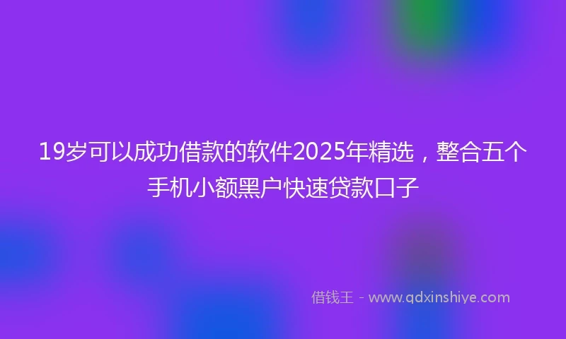 19岁可以成功借款的软件2025年精选，整合五个手机小额黑户快速贷款口子