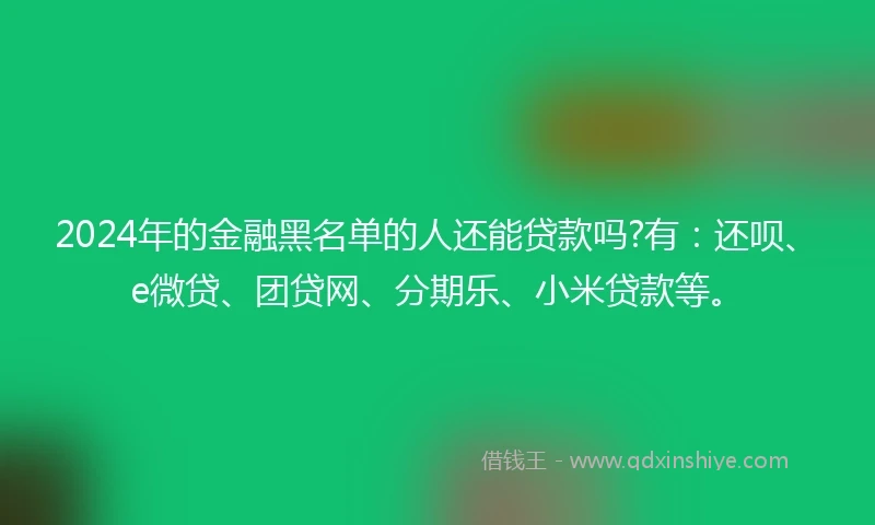 2024年的金融黑名单的人还能贷款吗?有：还呗、e微贷、团贷网、分期乐、小米贷款等。