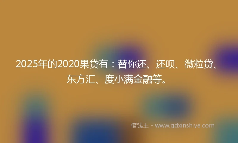 2025年的2020果贷有：替你还、还呗、微粒贷、东方汇、度小满金融等。