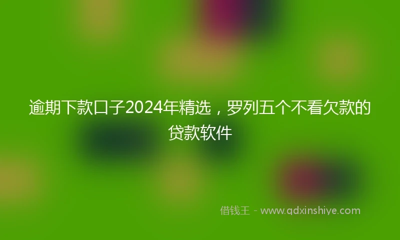 逾期下款口子2024年精选，罗列五个不看欠款的贷款软件